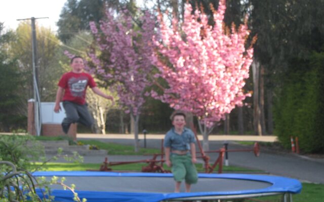 Invercargill Holiday Park & Motels