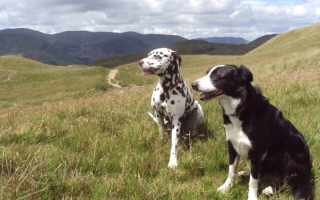 Crookabeck B&B