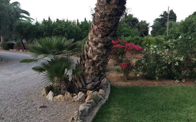Jardí de Papallones