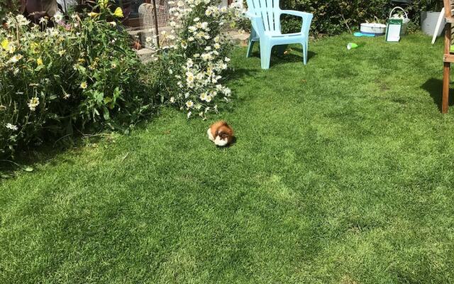 Kitty Unique 60s Caravan set in Pretty Garden