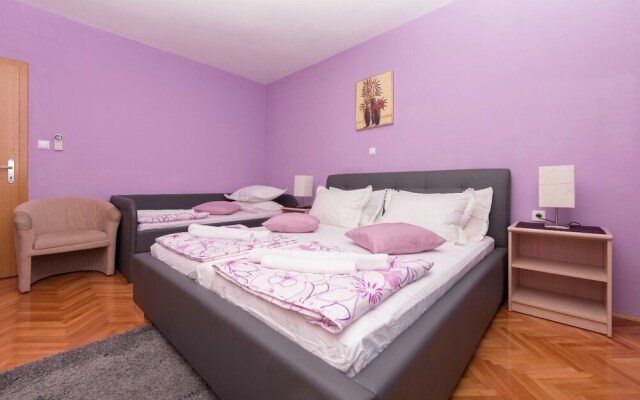 Goran - in the Center of the City - A4 Ljubičasti