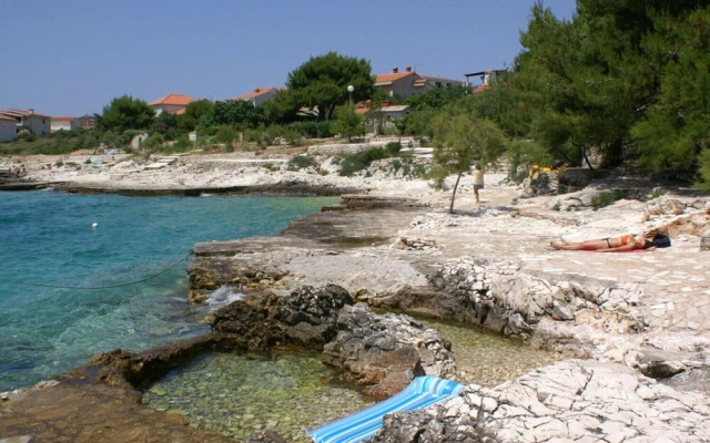 Rosemary - Gorgeous Garden - A2