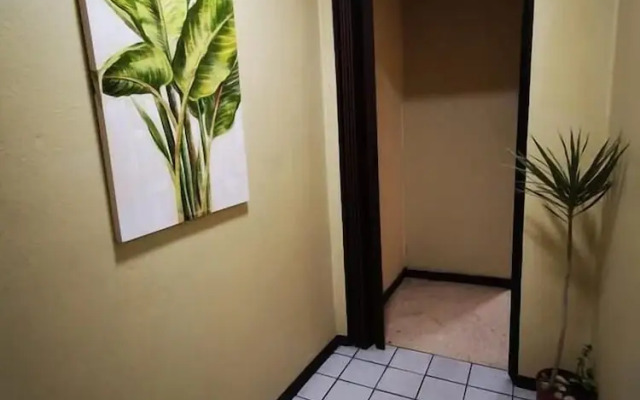 Toucan Hostel