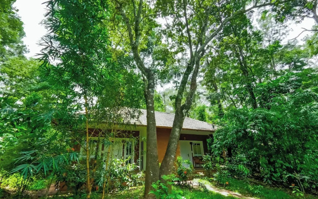 Thennal Jungle Camp Pvt Ltd