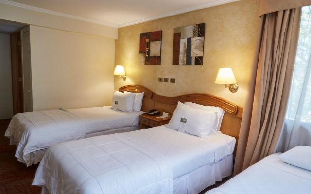 Hotel Torremayor Lyon