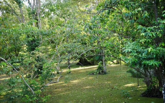 Dreamcatcher Hostel