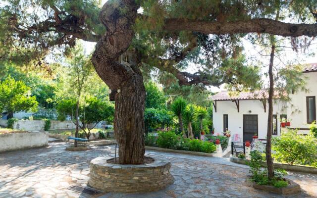 ILIOCHARI sea view apartments Oropos - Kalamos
