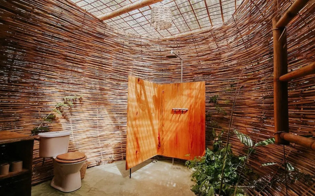 The Seed Habitat