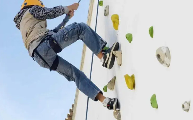 Albergue Inturjoven El Bosque