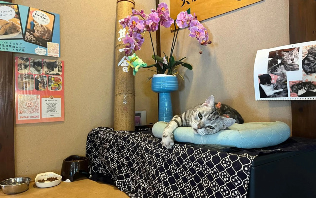 Onsen Ryokan Mitake