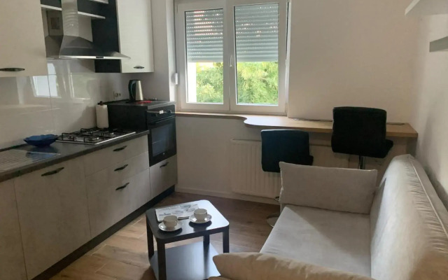 Luxury apartment Maja