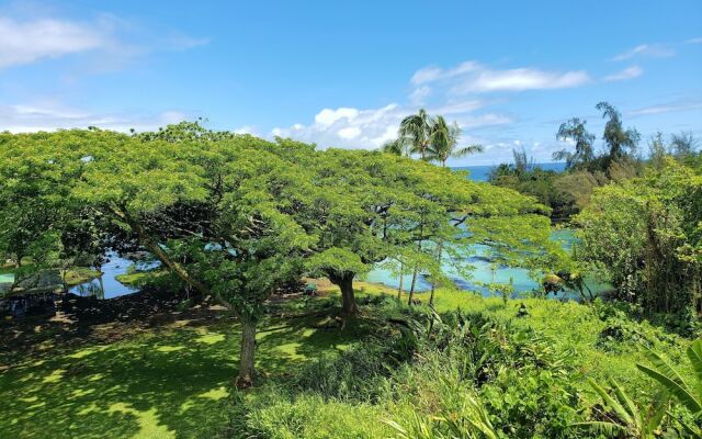 Mauna Loa Shores #405 1 Bedroom Condo By Redawning