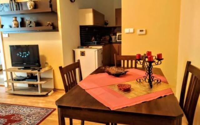 Apartment Sense of Zizkov