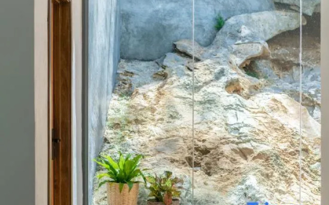 Xingyi Wanfeng Linyue Qili Mountain and Homestay