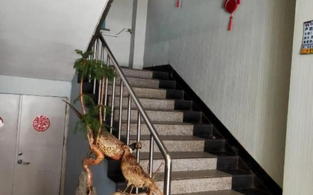 Changchun May Leju Hotel