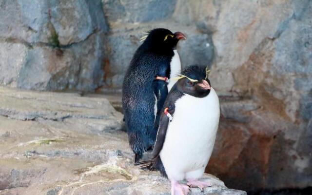 Hotel Wing International Select Higashi Osaka