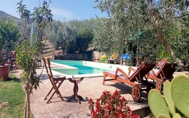 Apartment in a Farmhouse With Swimming Pool
