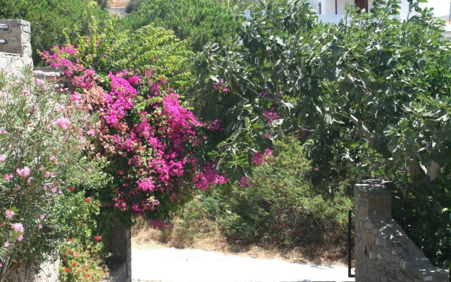 Villas Georgy