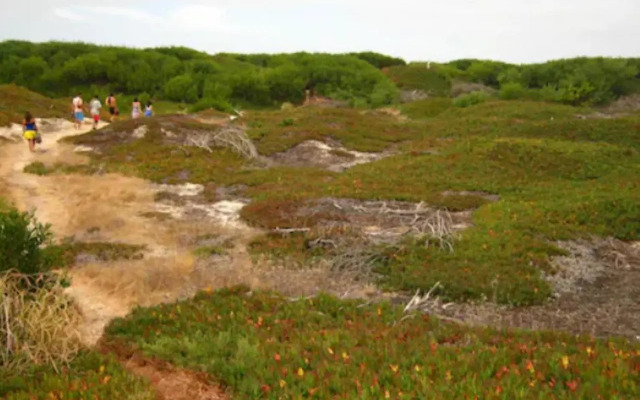 O Cantinho Entre a Ria e o Mar