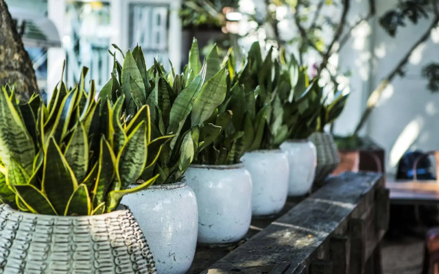 The Concierge Boutique Bungalows