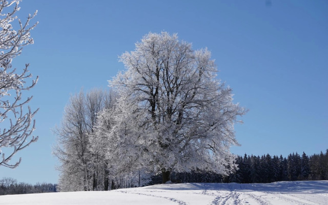 Wanderlust - Thüringer Wald, Rennsteig, Finsterbergen