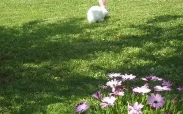 Zio Zac Agricampeggio