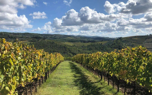 Fattoria E Villa Di Rignana
