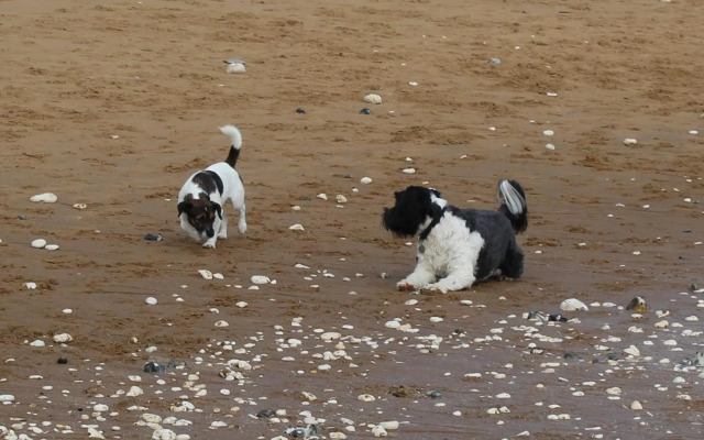 Sea Glimpses with free parking and garden