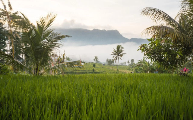 Ume Dukuh Home Sidemen