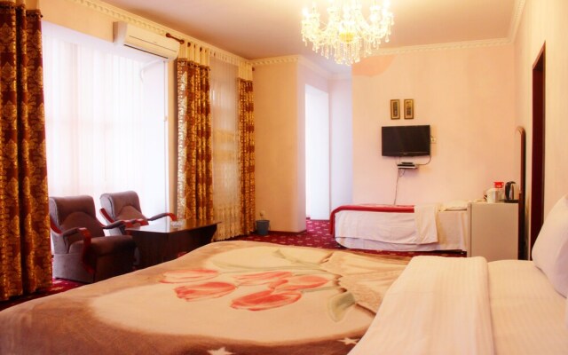 Hotel Sarvar