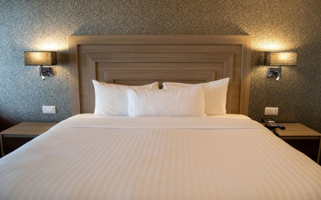 Hilton Garden Inn Leon