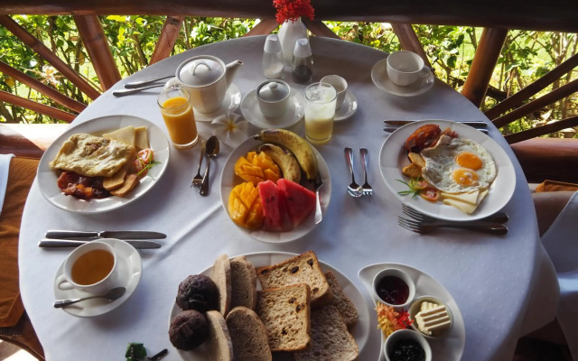 Badian Island Wellness Resort