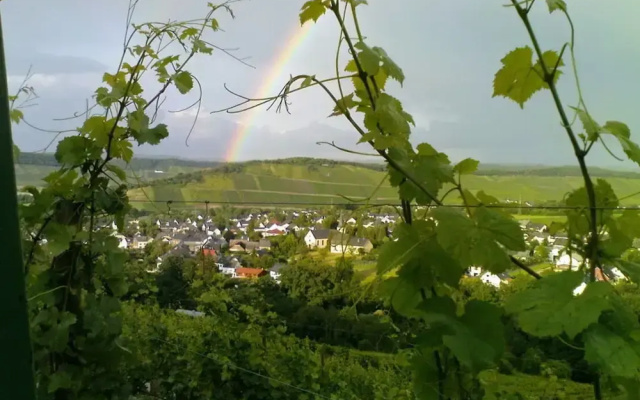 Muhlenhof - Muller Thurgau