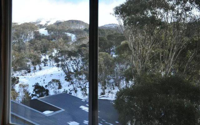 Warrina 11