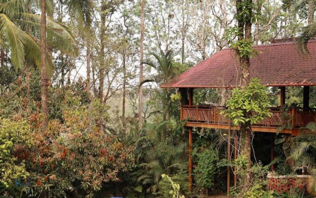 Tranquil Resort Wayanad