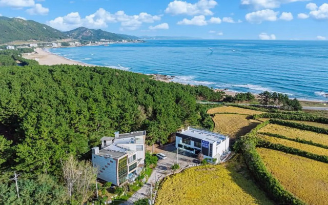 Pohang Badahyanggi Pension