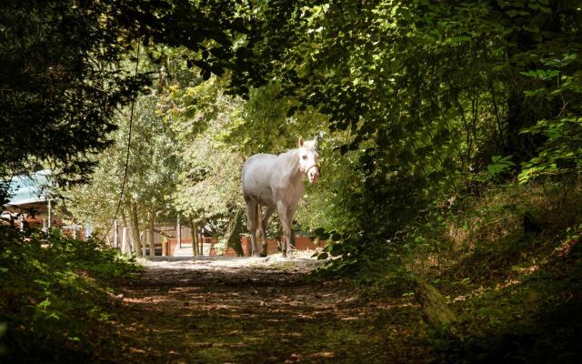 Demeures de campagne Domaine de Maffliers – Novotel