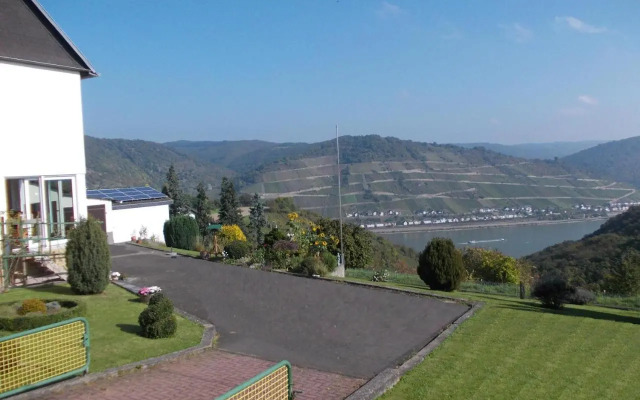 Schau-Rhein#2 - on Top of Bacharach, Rhineview