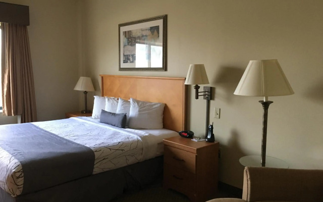 Coon Rapids North Metro Hotel to Norwood Inn & Suites