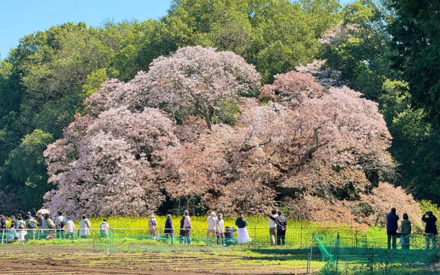 TanTei / Vacation STAY 5504