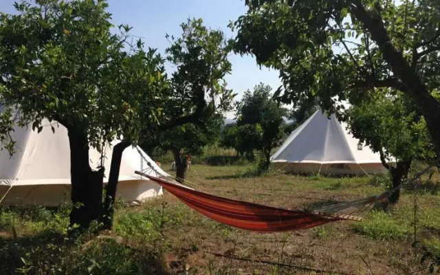 Orange Tree Garden Glamping Haven