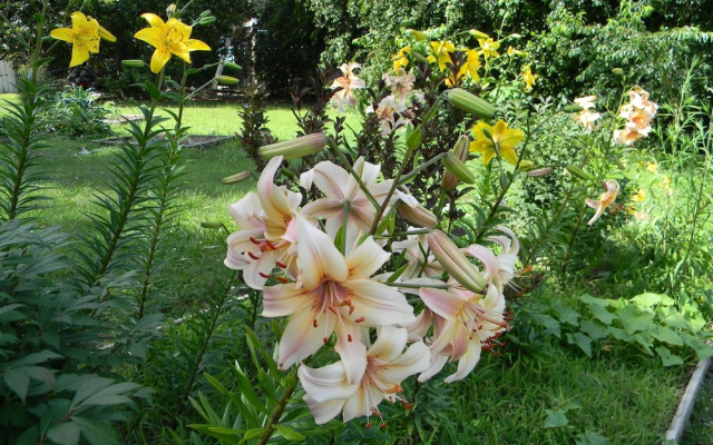 The Chandler House Bed and Breakfast