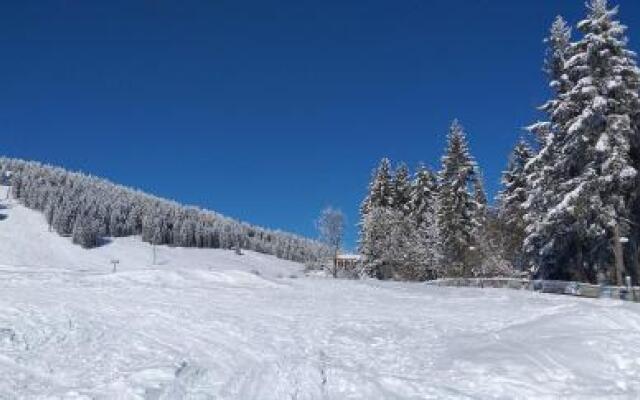 Pension Berghof