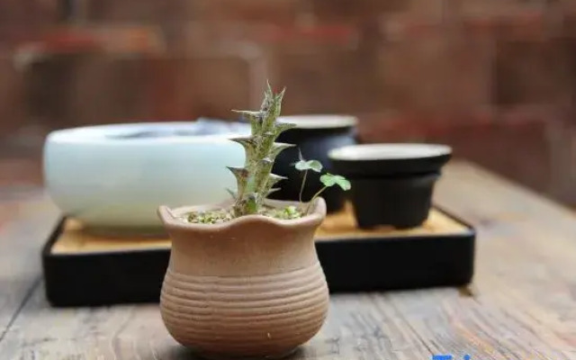 Xiyuan Xiangyu Inn  Wudian