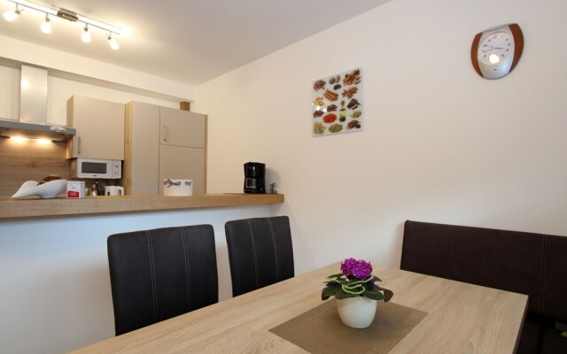 Modern Apartment Near Ski Area in Mittersill