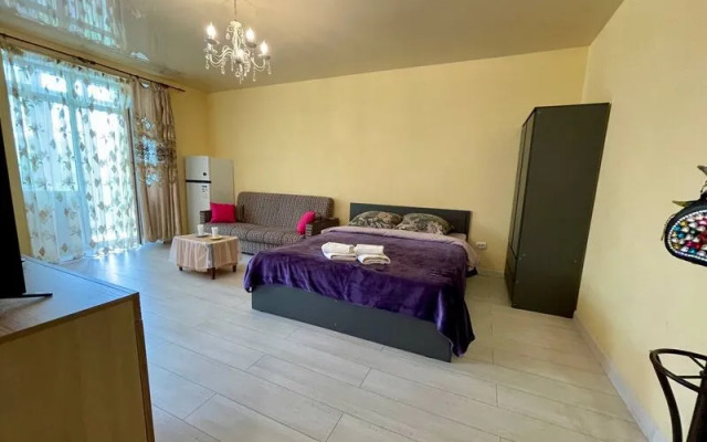 Апартаменты Рантье на ул. Карла Маркса