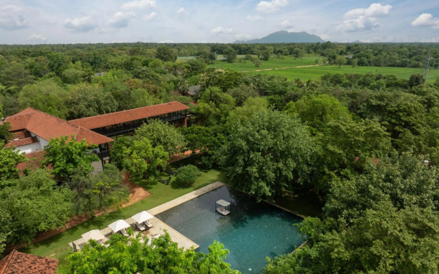 Sigiriya Jungles