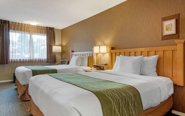 Econo Lodge Inn & Suites