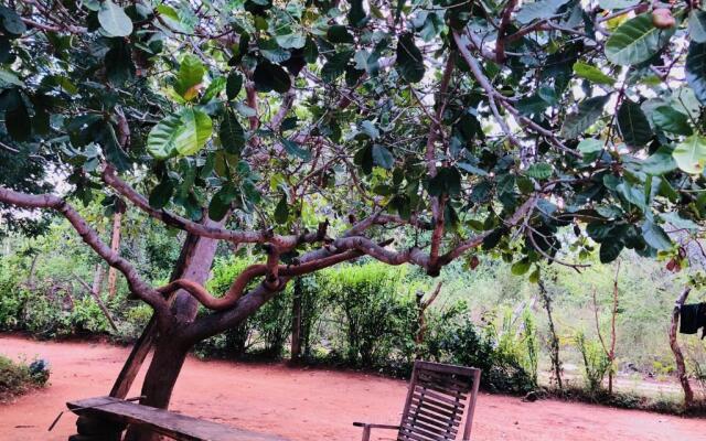 The Summer Corridor- Kataragama