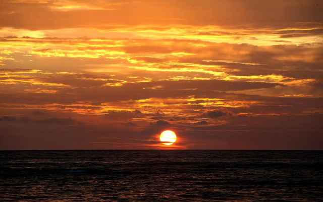 Coco Palm Beach Resort & Spa